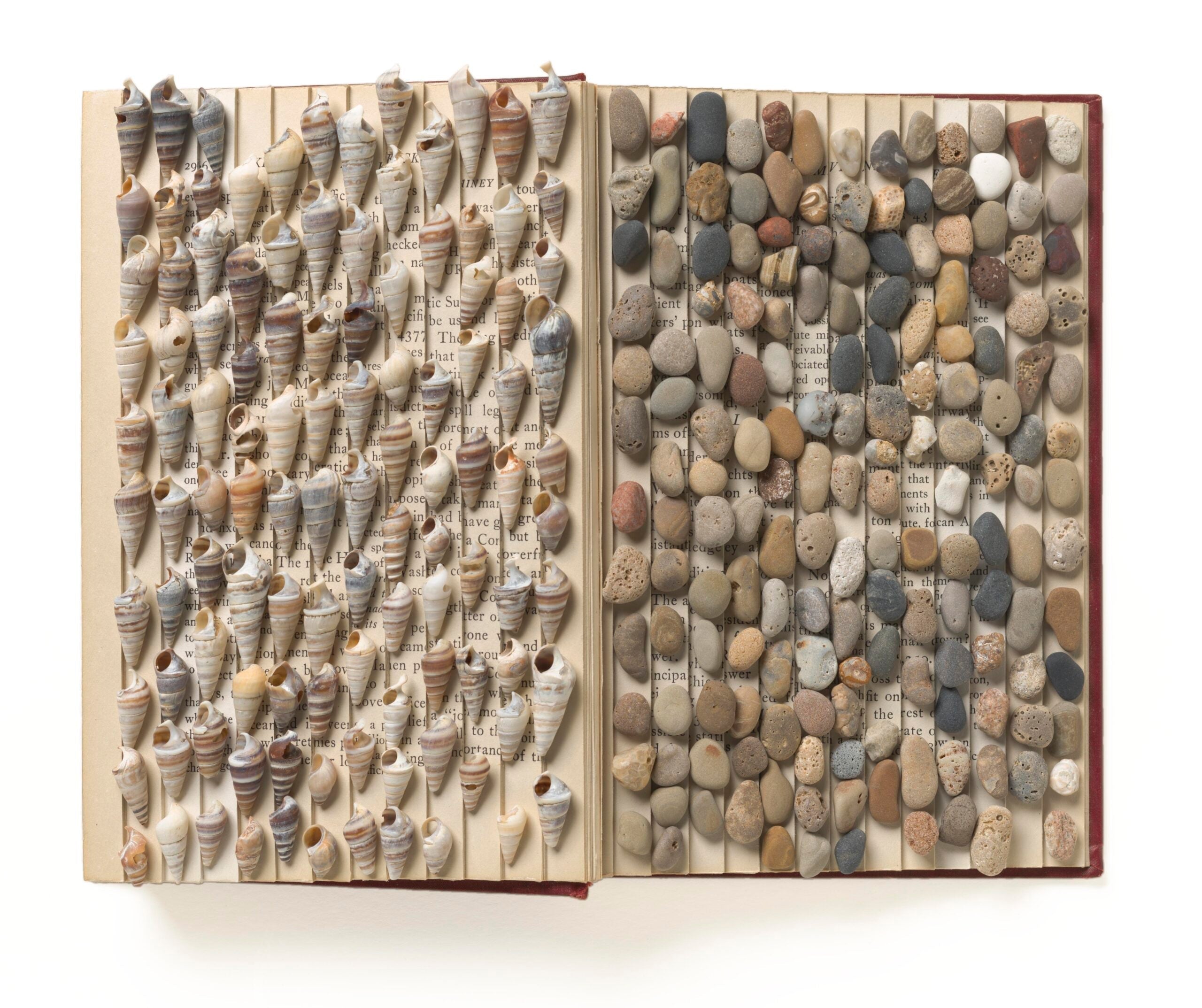 Book Sculpture for Beginners 2022 image 4