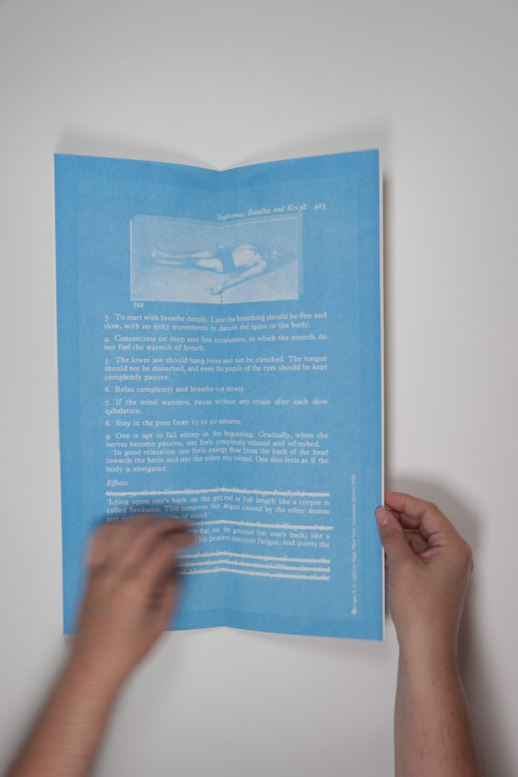Do Nothing and Print: Cyanotype as a Reflection on Stillness image 3