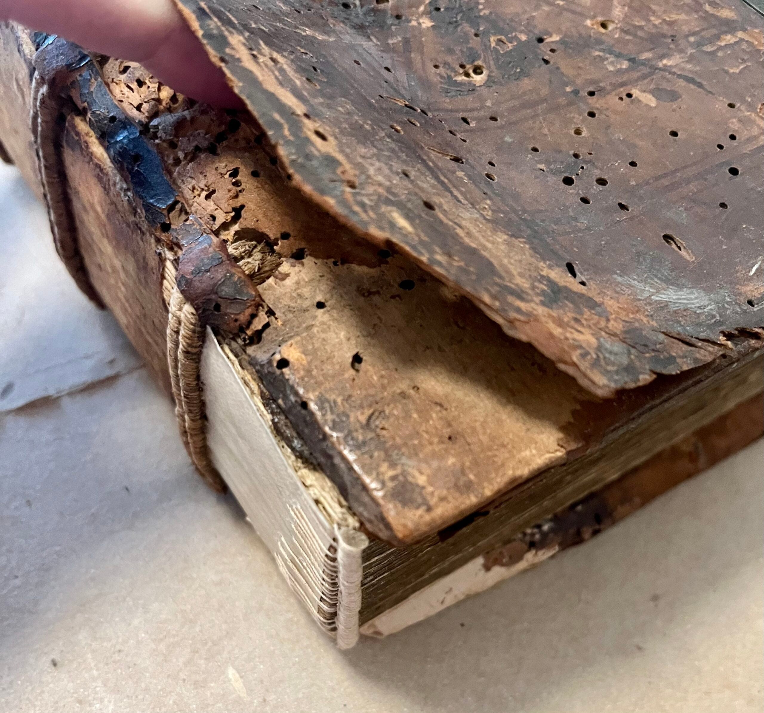 Restoration of Modern Cloth Bindings (Summer 2024) image 1