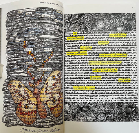 Poetry and the Page: Visualizing the Word image 0