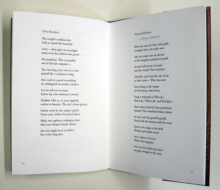 What is Left of Wings, I Ask image 2