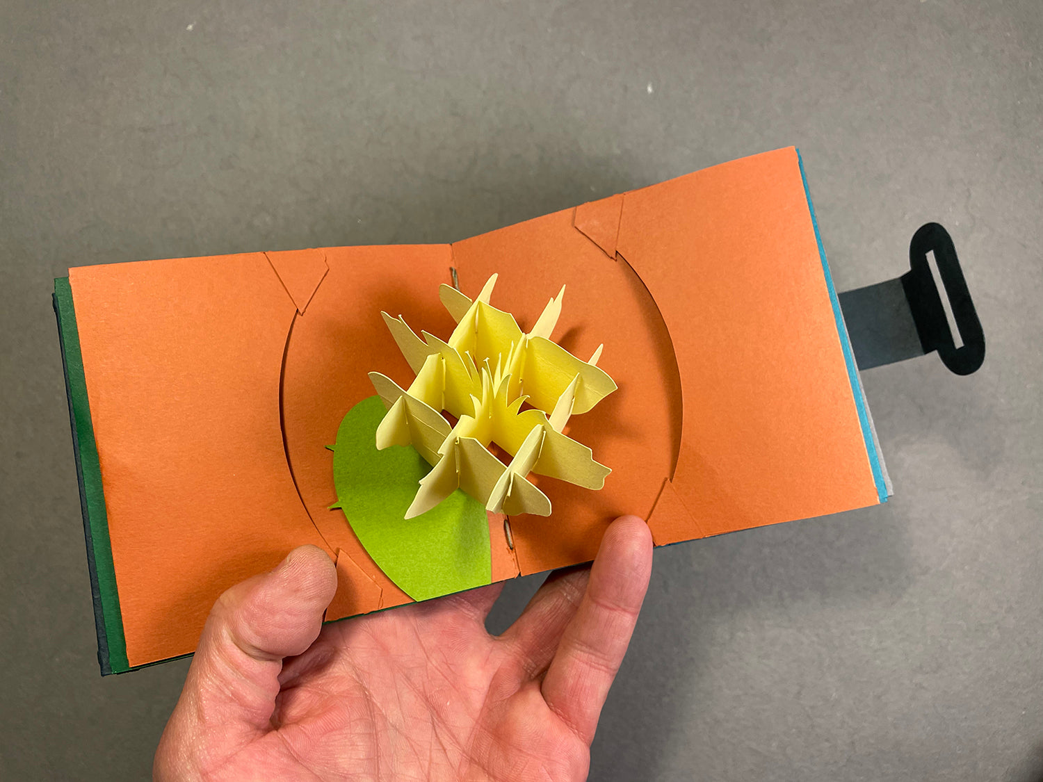 Miniature Pop-Up Wildflowers with Longstitch Binding (Summer 2024) image 4