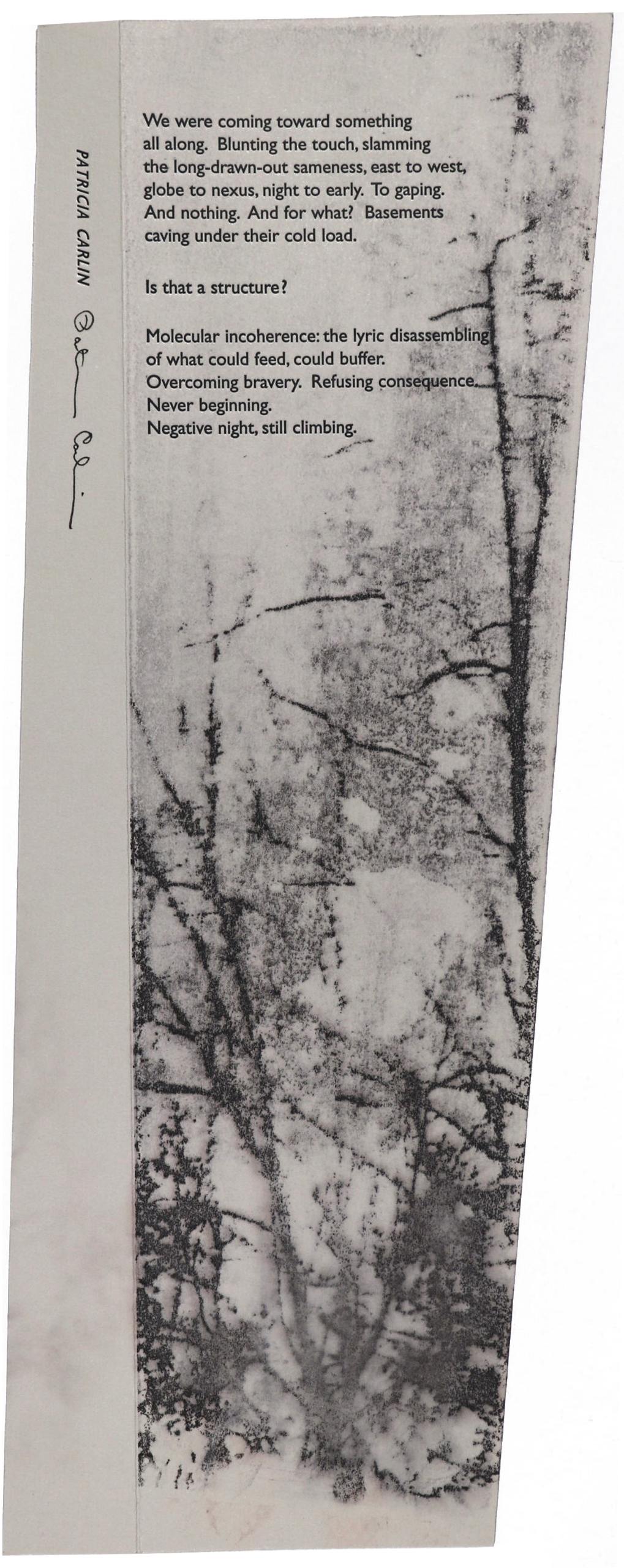 We Were Coming Toward Something (First Line) image 0