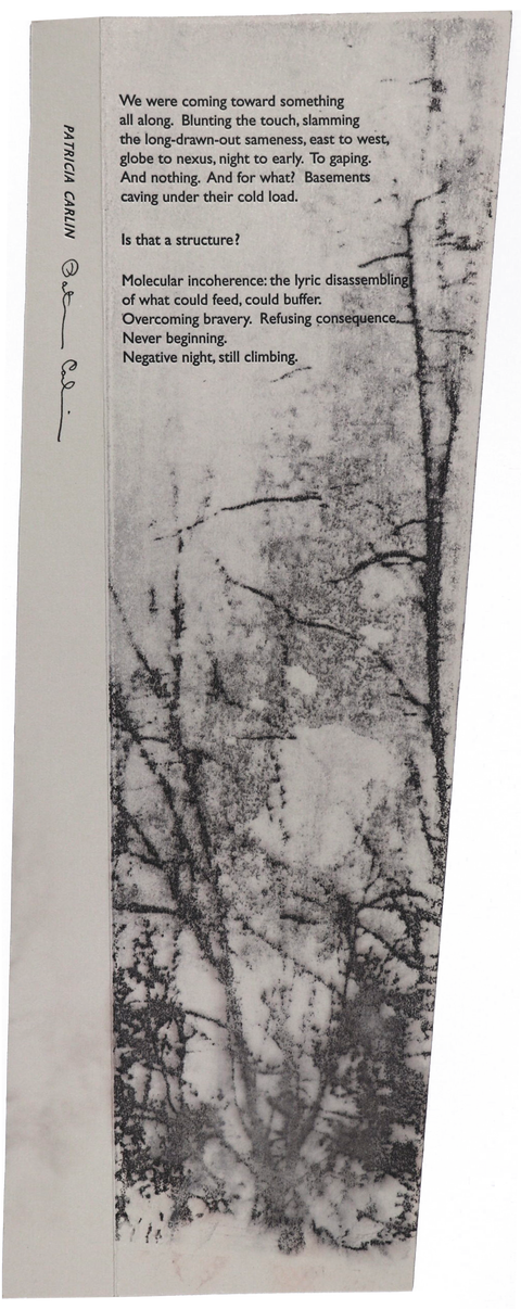 We Were Coming Toward Something (First Line) image 0