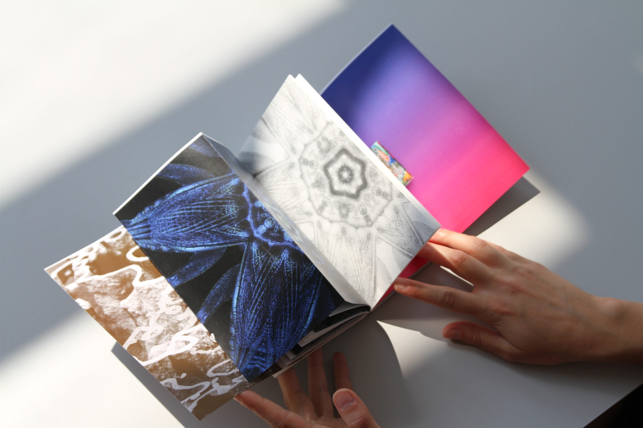 Interspecies Futures [IF] image 6