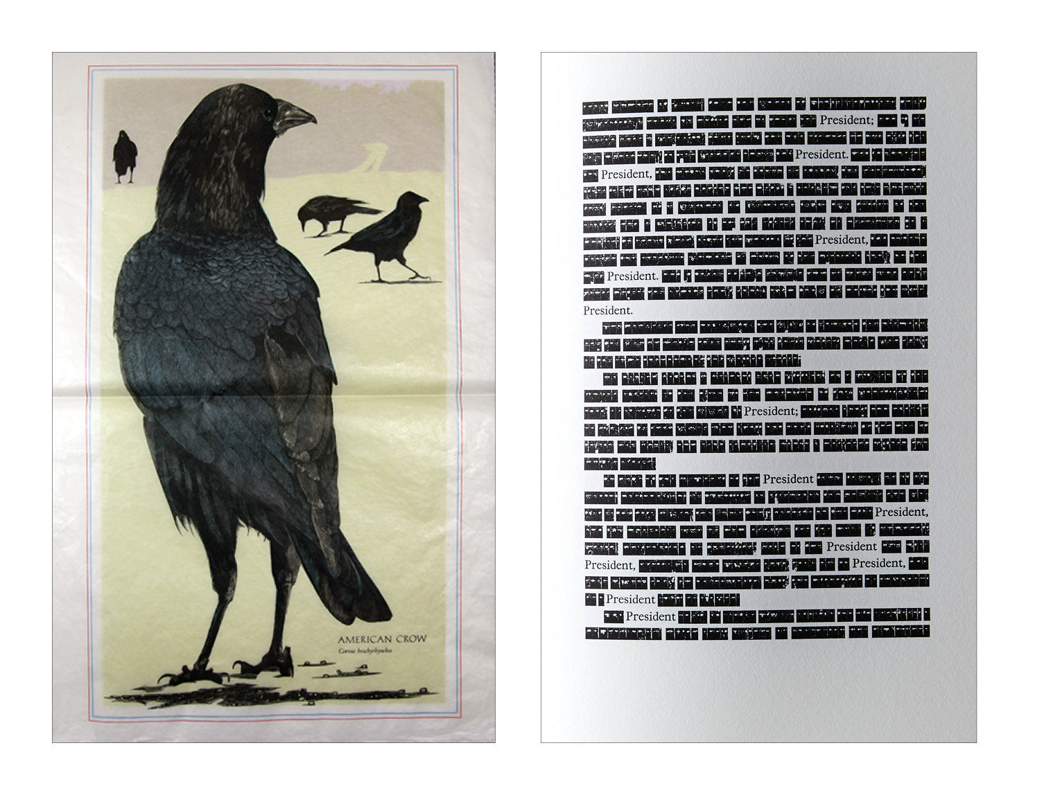 Covid d’État: An Interview with Gaylord Schanilec and Russell Maret image 0