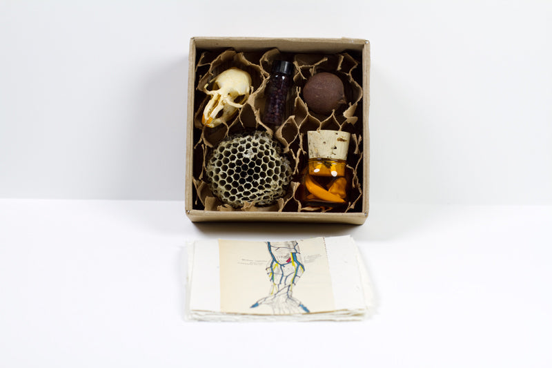 Chapbooks and Artists' Books (Summer 2023) image 5