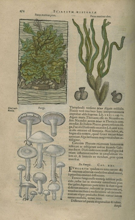 Printing and Printmaking in the Hand-press Period image 1
