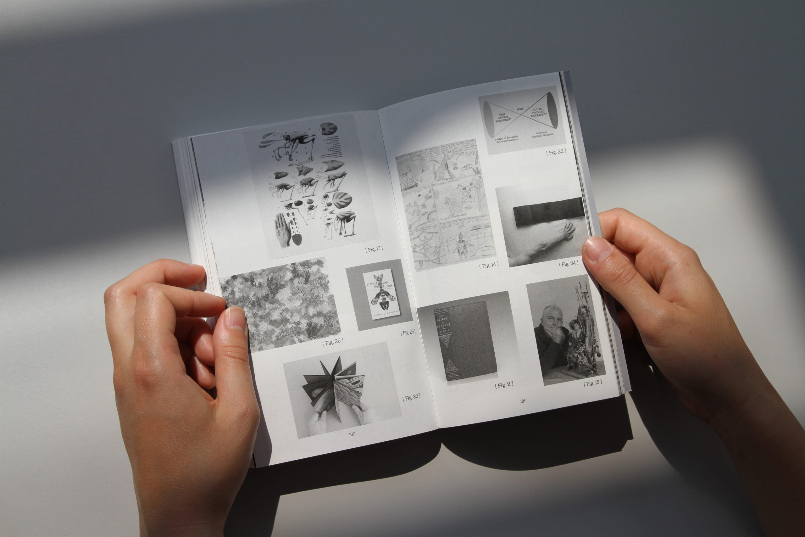 Interspecies Futures [IF] image 7