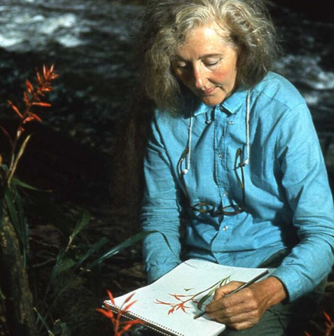 Members-Only Workshop: Botanical Storytelling with Oreades Press image 0