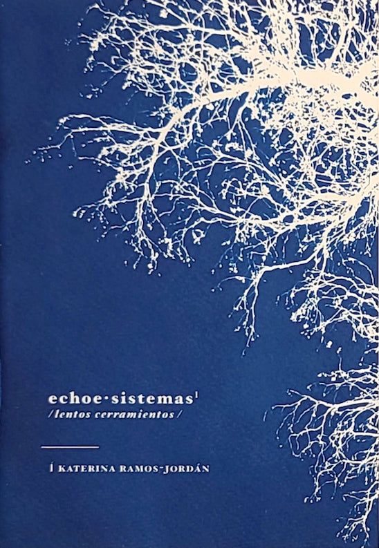2020 Annual Chapbook Reading image 2