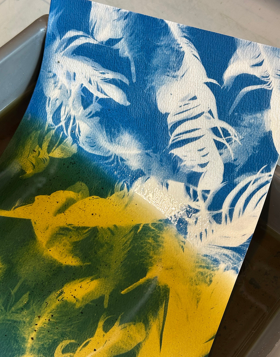 Cyanotype to Concertina: Building a Folded Sequence