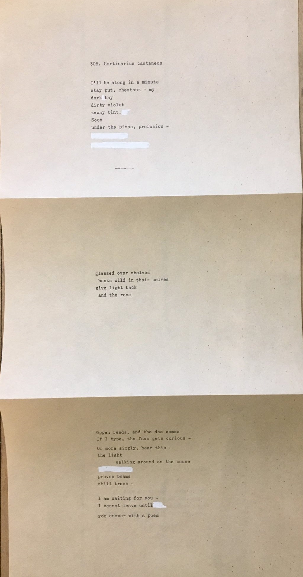 Broadside photo