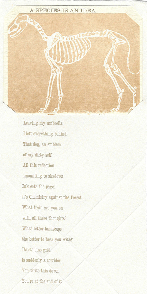 Broadside photo