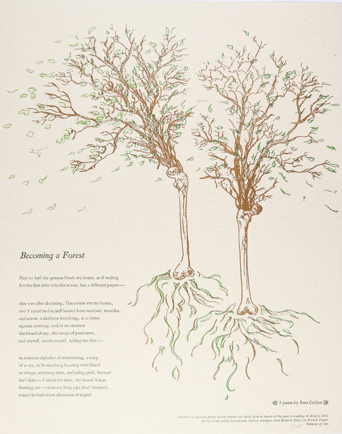 Broadside photo