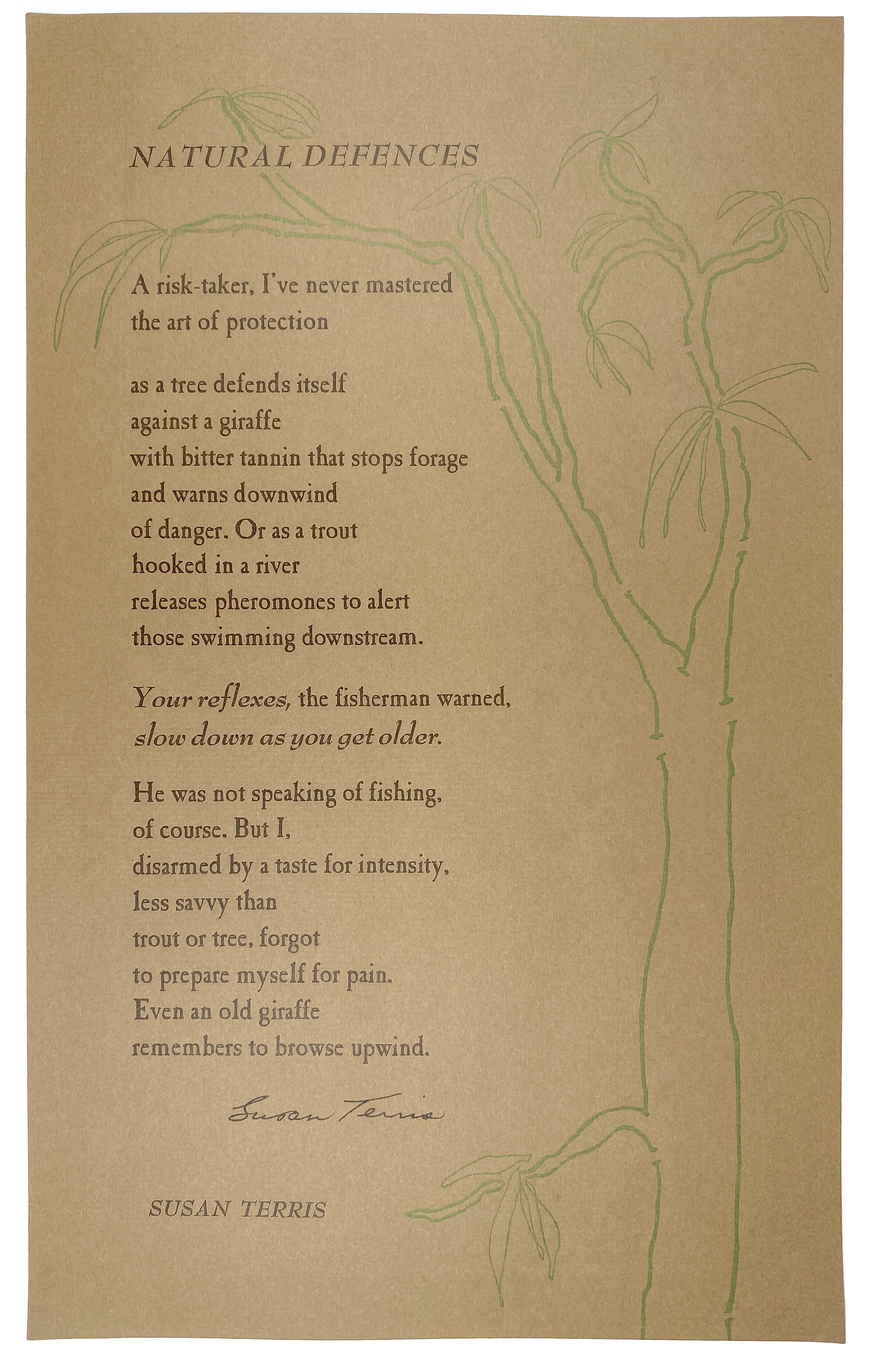 Broadside photo
