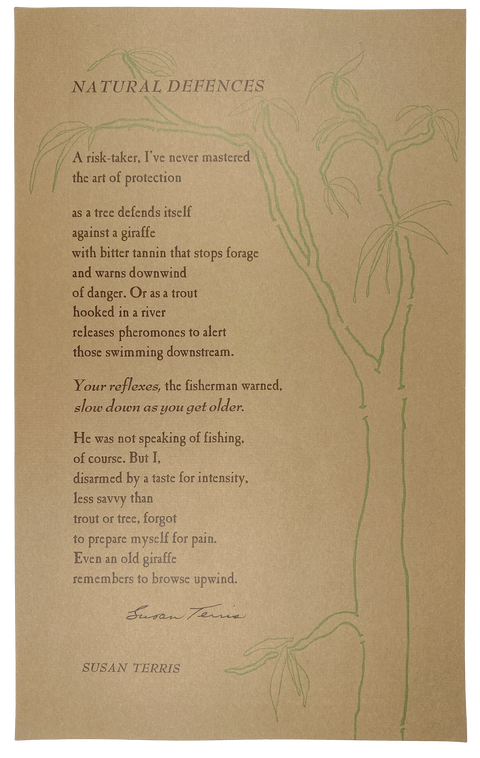 Broadside photo