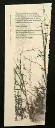 Broadside photo