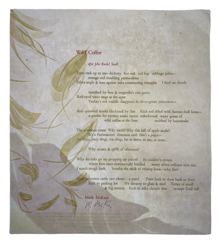 Wild Coffee