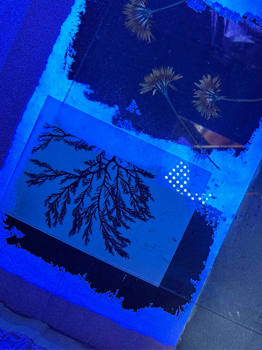 Cyanotype to Concertina: Building a Folded Sequence