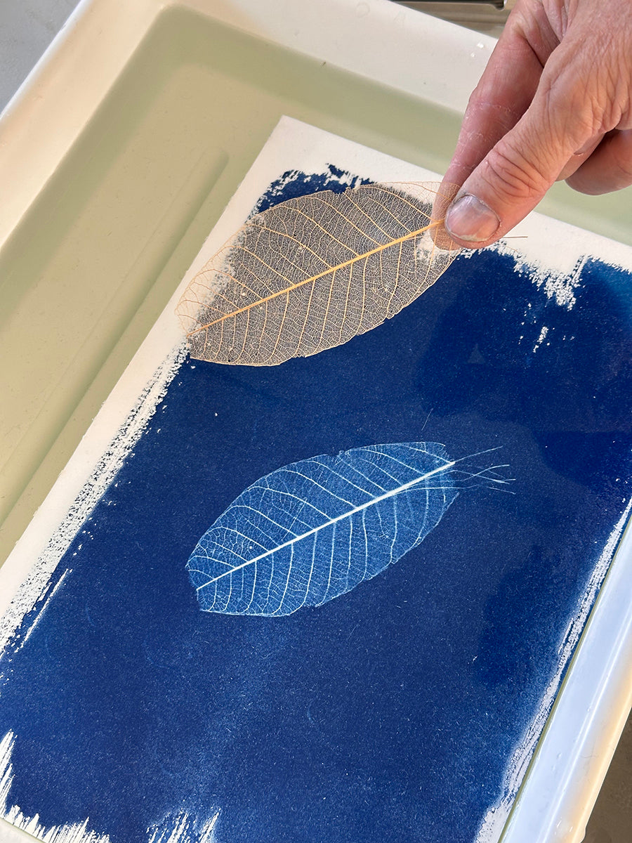 Cyanotype to Concertina: Building a Folded Sequence