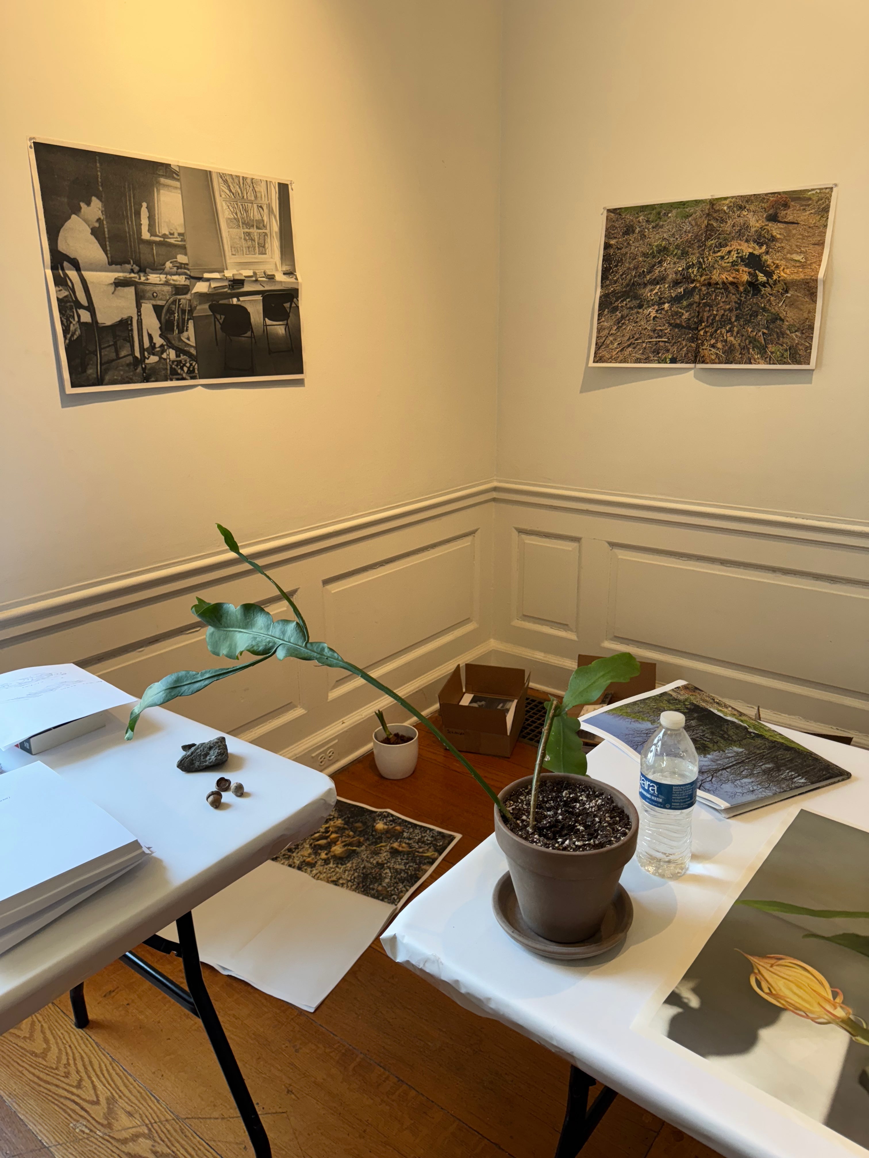 All the News That’s Fit to Print: Type Setting, Writing, and Print