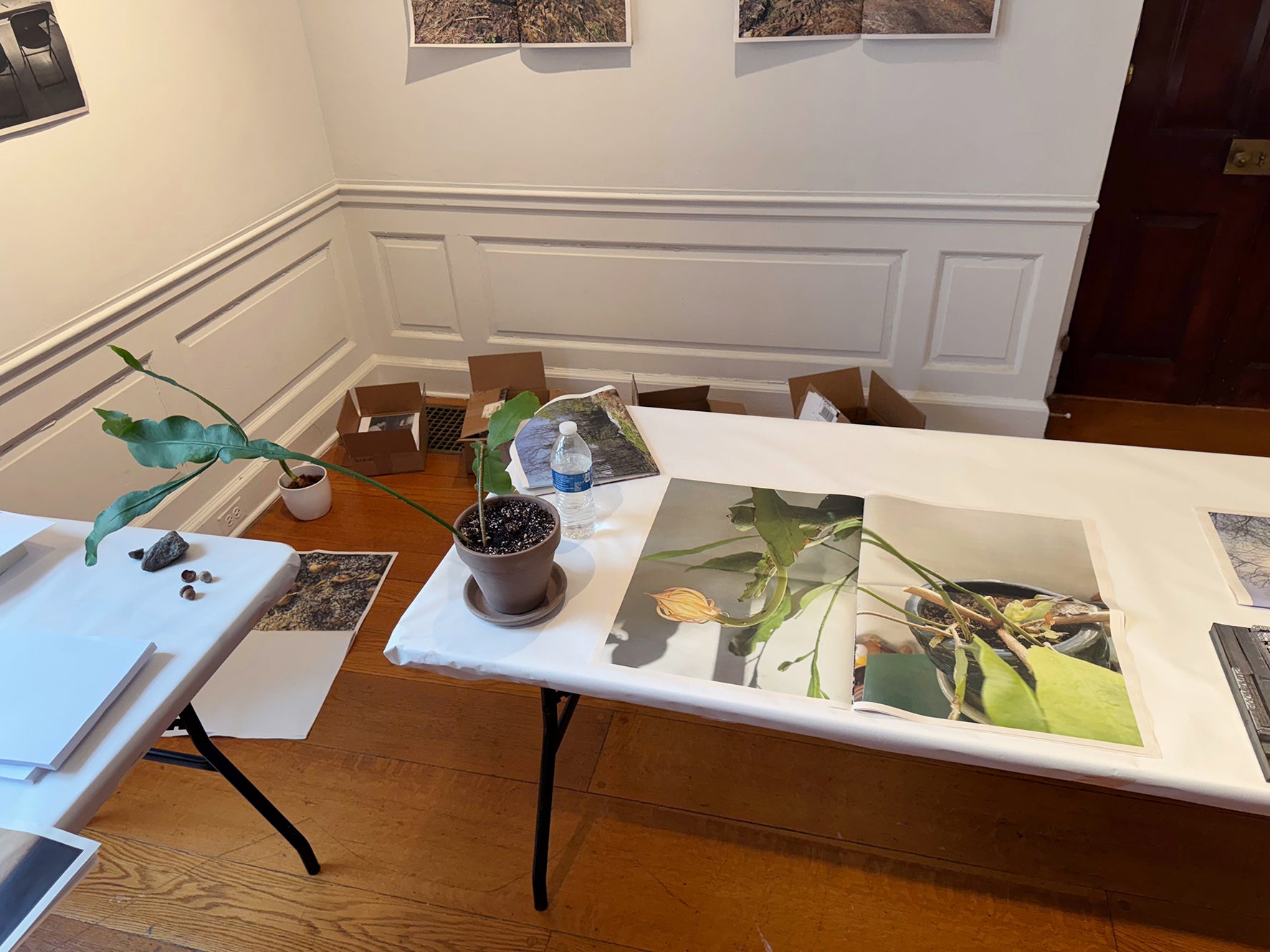 All the News That’s Fit to Print: Type Setting, Writing, and Print