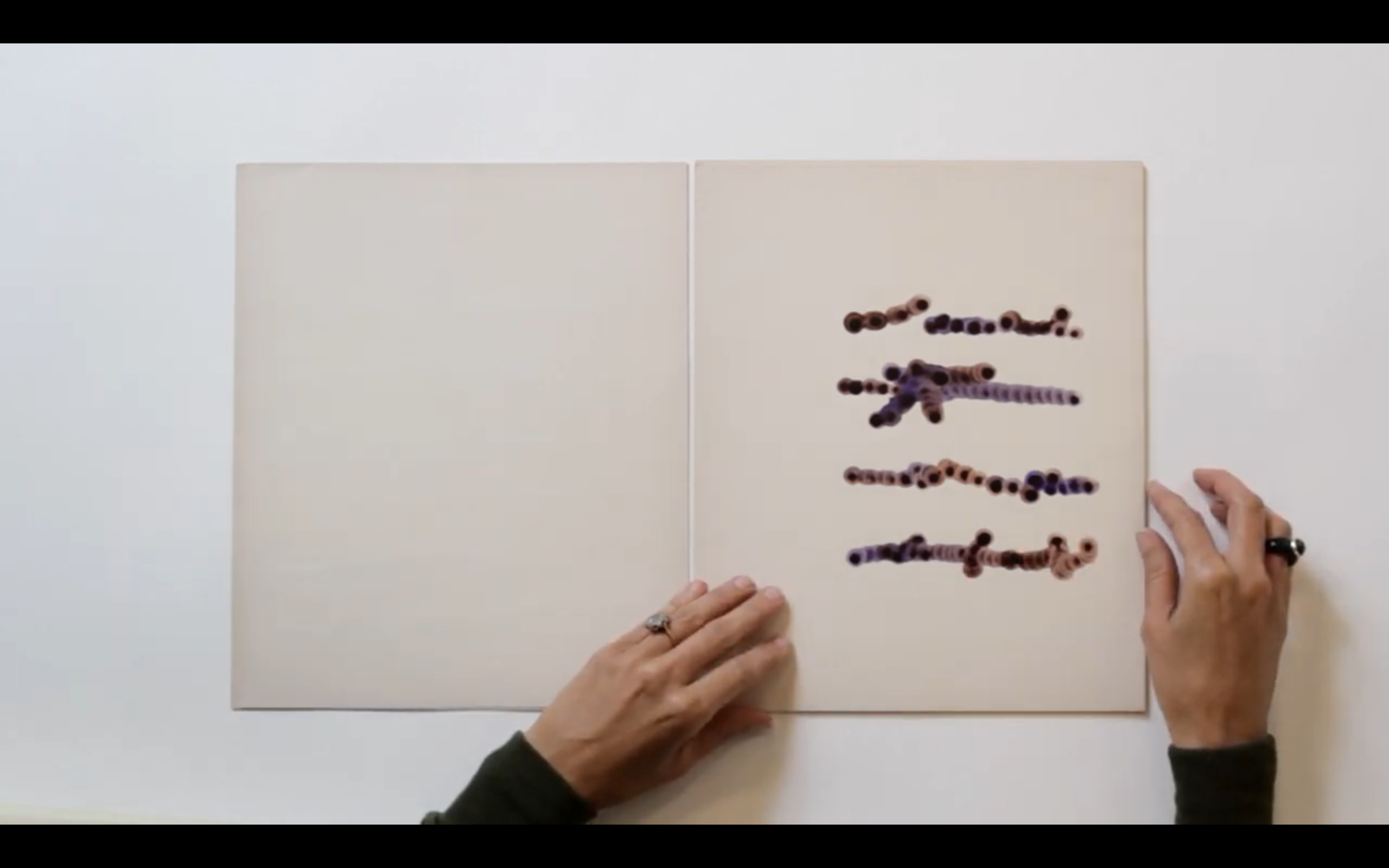 The Illegible Book