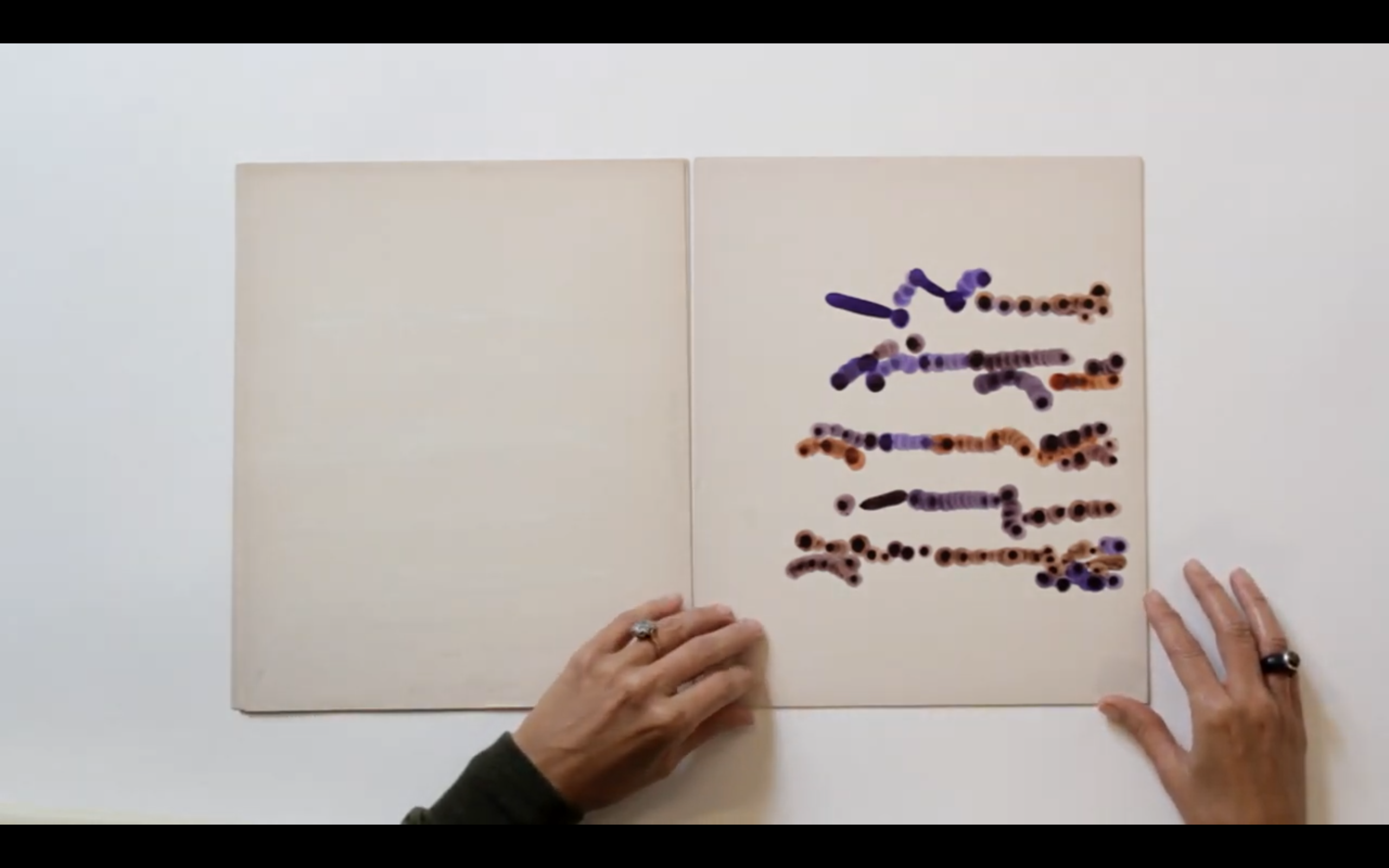 The Illegible Book