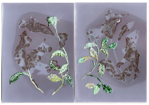 Camera-less Eco-Photography: From Plant to Print for Book Artists