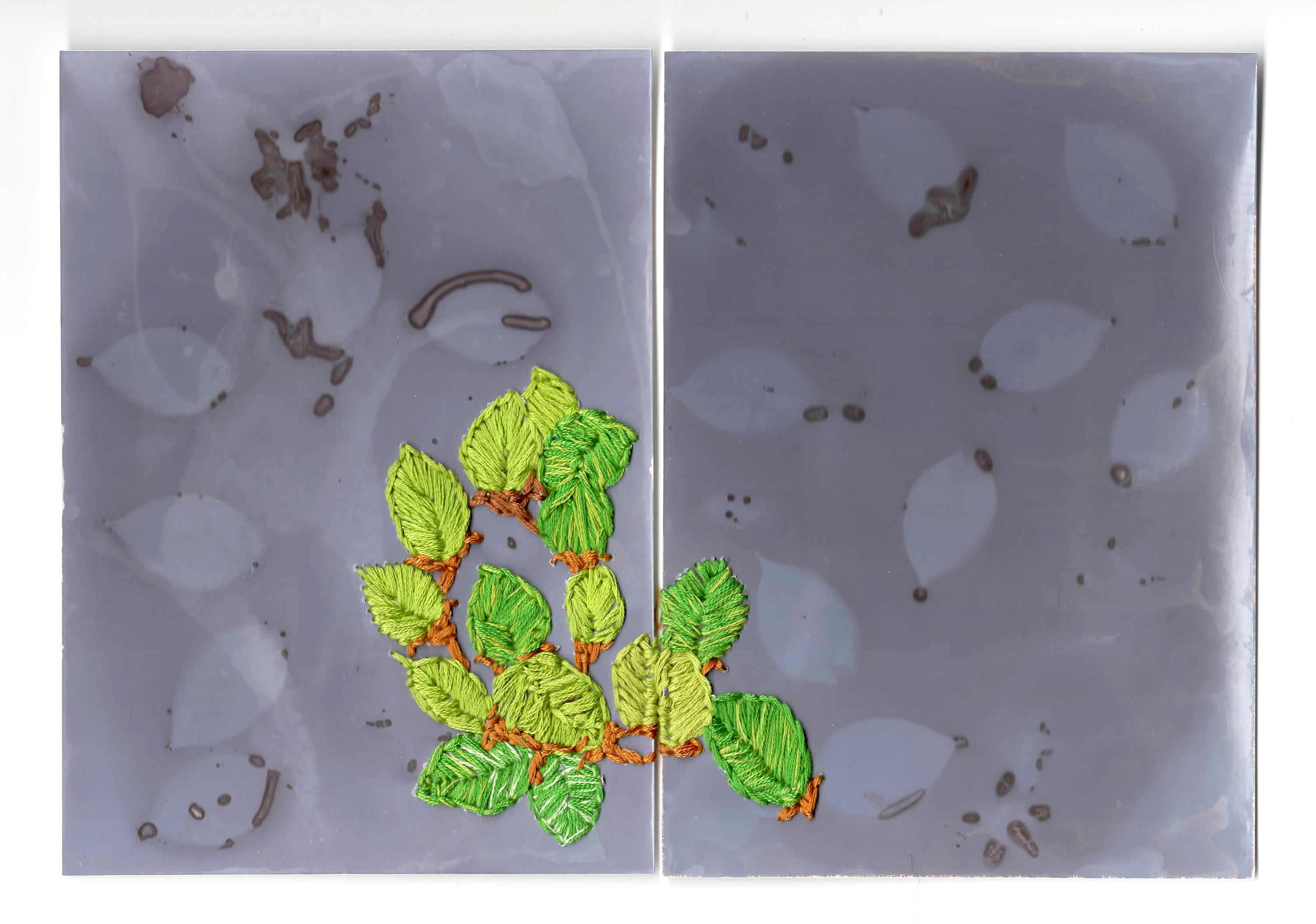 Camera-less Eco-Photography: From Plant to Print for Book Artists