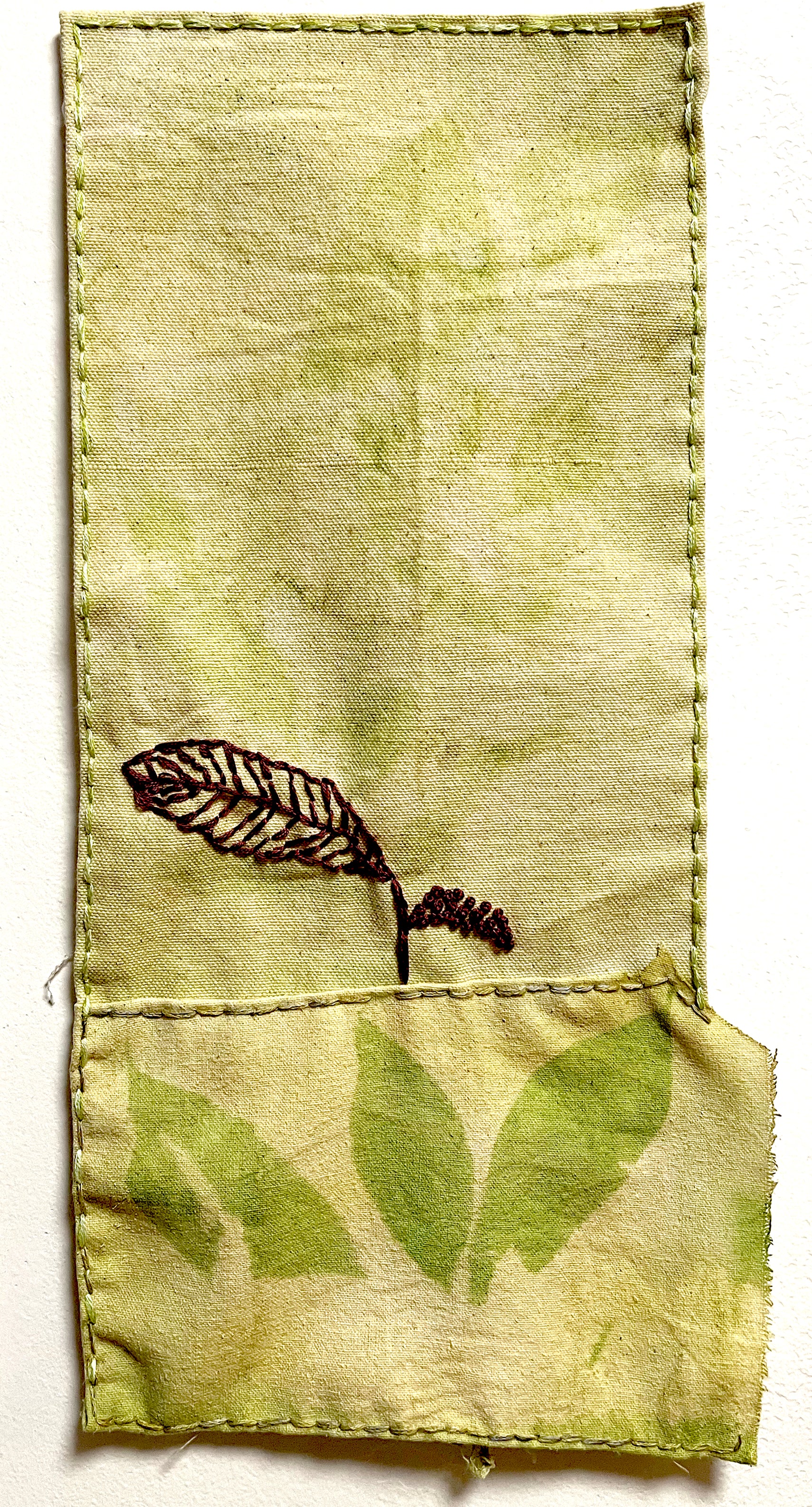 Camera-less Eco-Photography: From Plant to Print for Book Artists