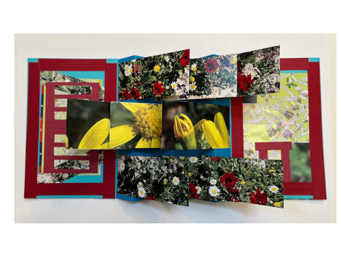 The Flag Book: Celebrating the Spring Equinox