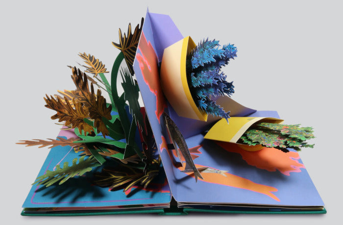 Pop-ups: An Introduction to Movable Books
