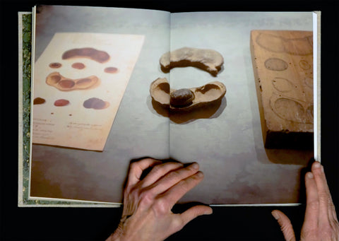 Veiled Taxonomies: Artist Talk with Betsy Stirratt image 0