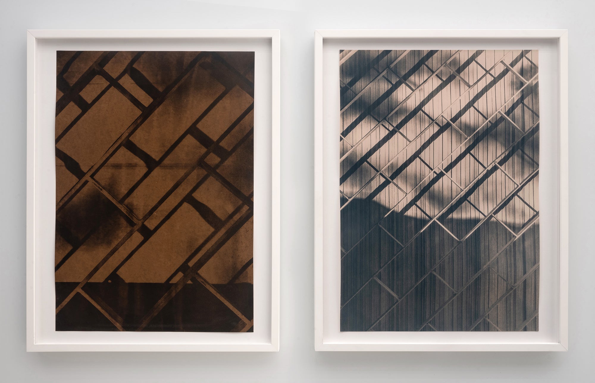 Cyanotype and Bookmaking (Spring 2024) image 6