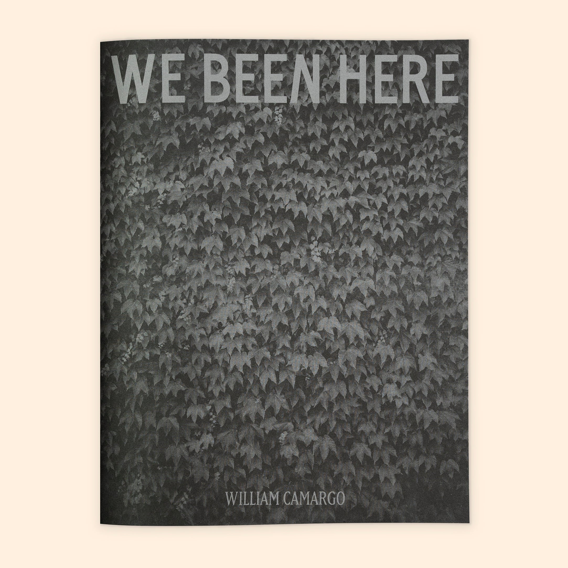 Intro to InDesign for Artists' Books & Publications image 2