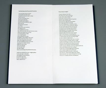 Black Butterfly image 1