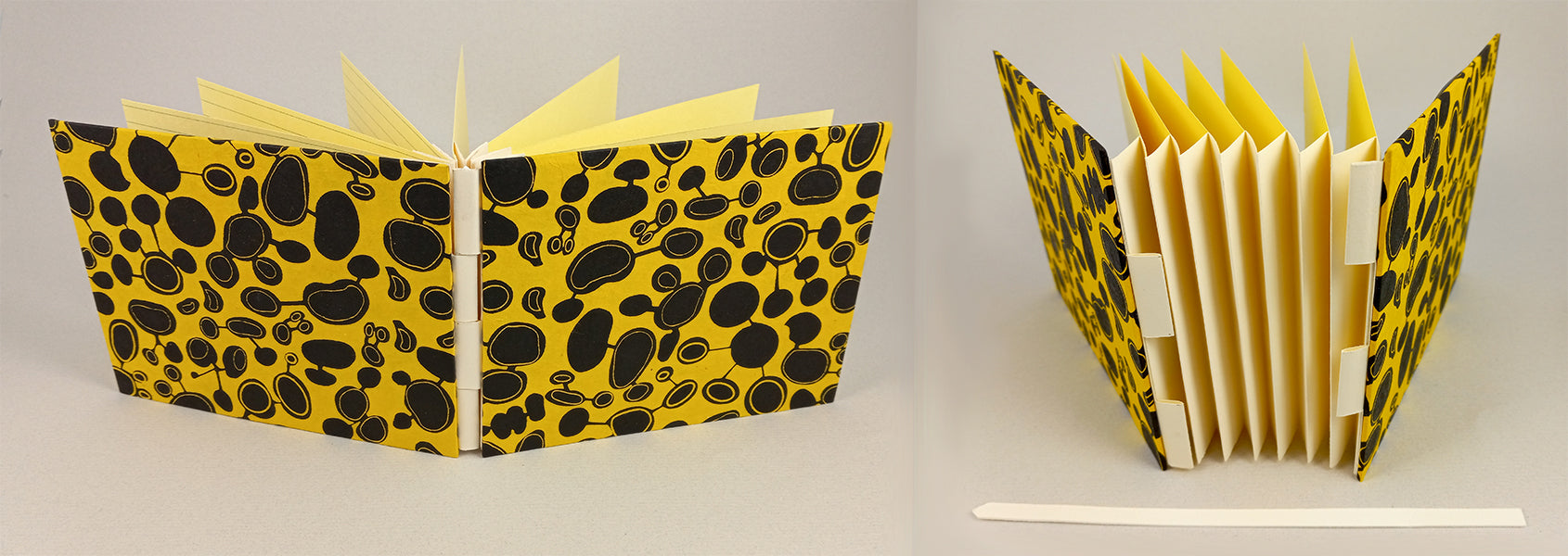 Simple Concertina Albums (Fall 2024) image 1