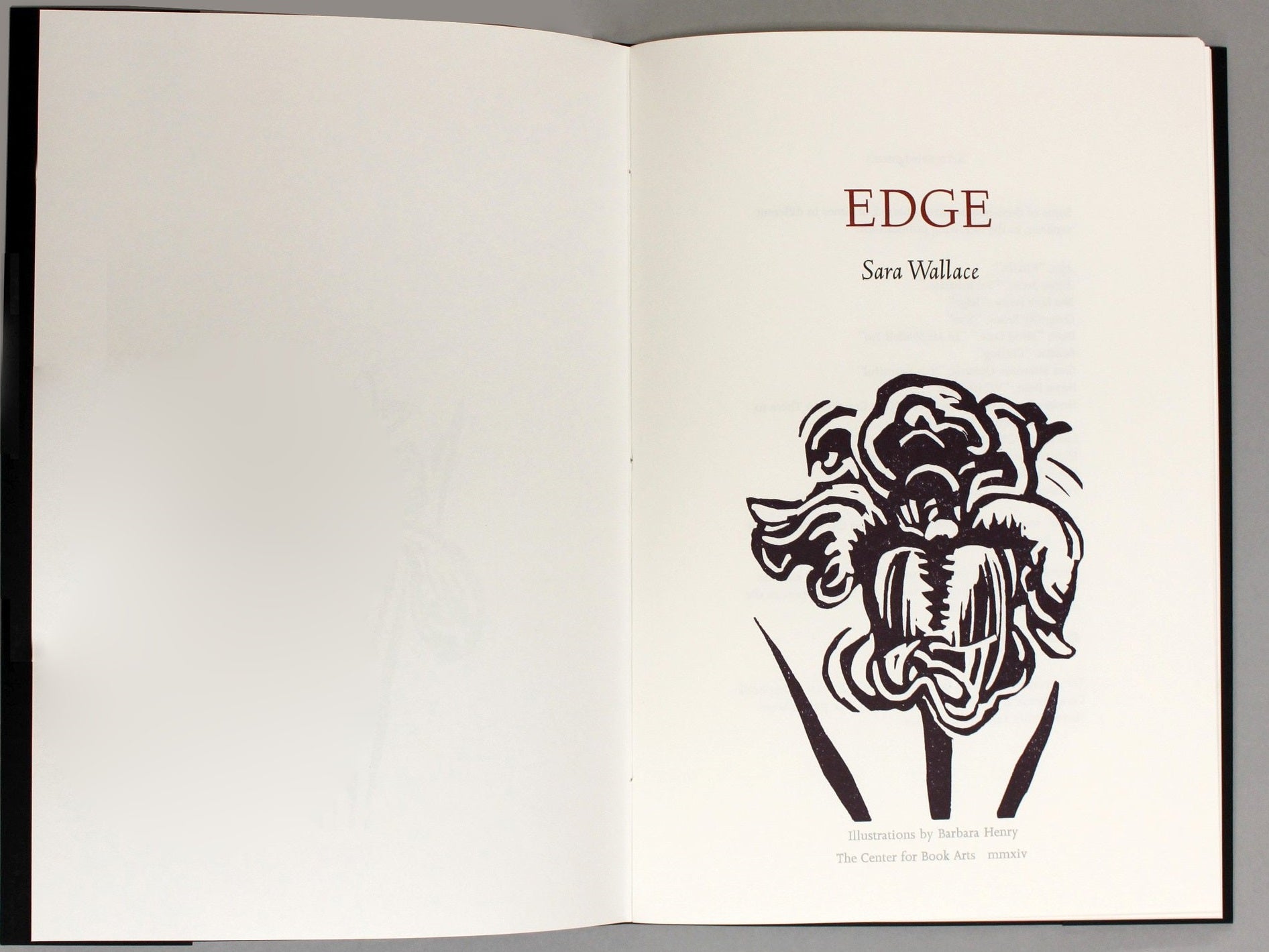Edge image 1
