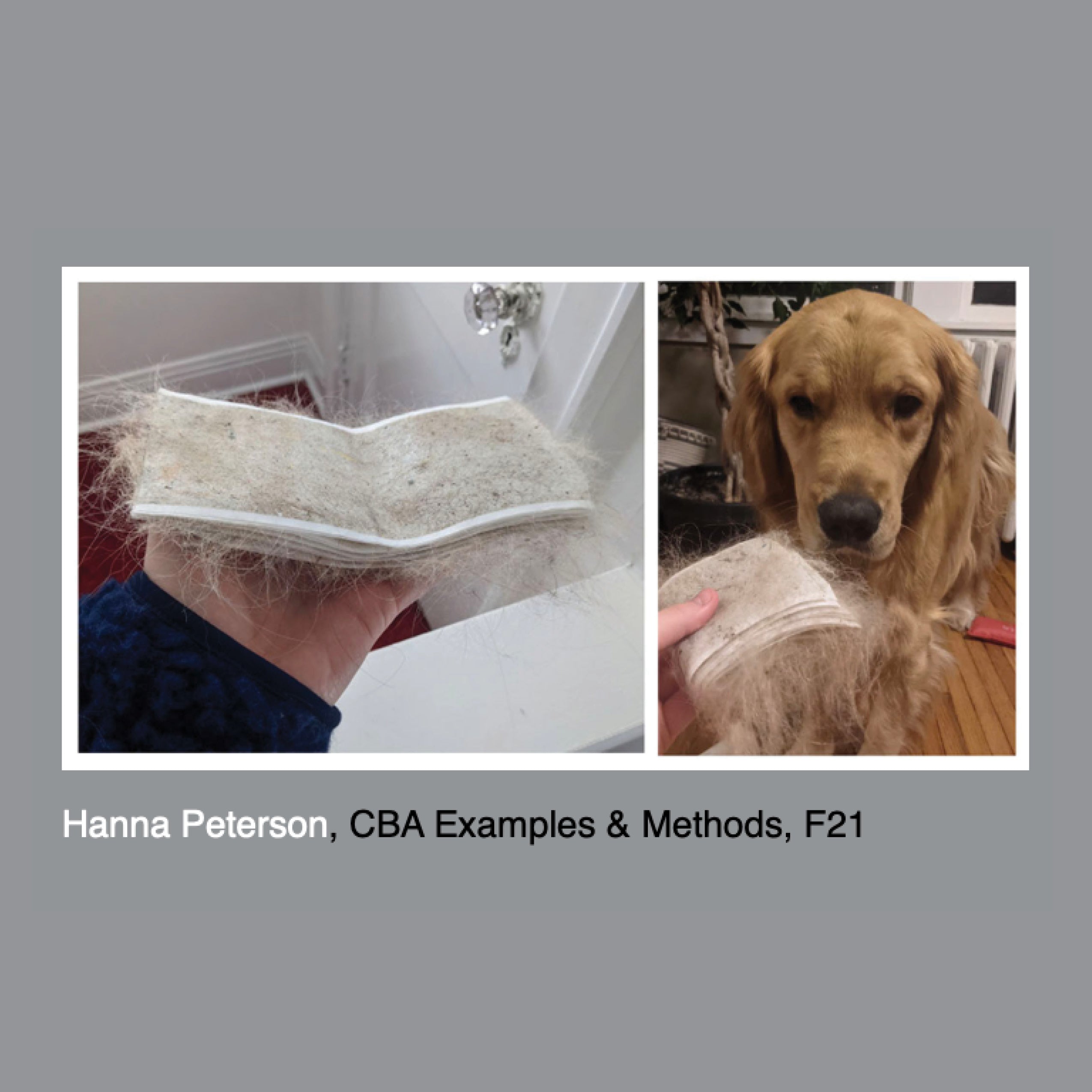 Artists' Books: Examples & Making with Everyday Materials 2022 image 3