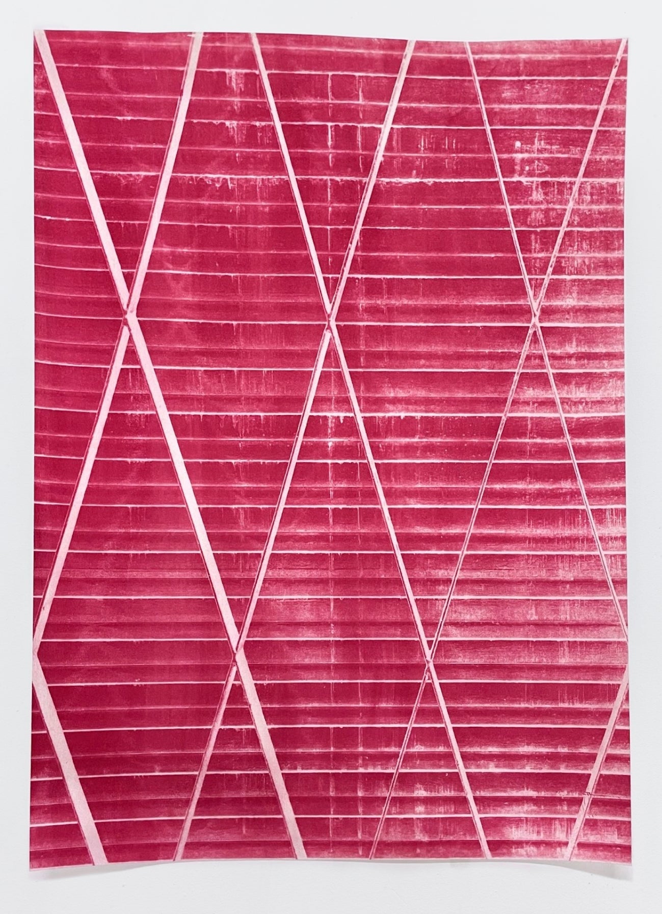 Cyanotype and Bookmaking (Spring 2024) image 2