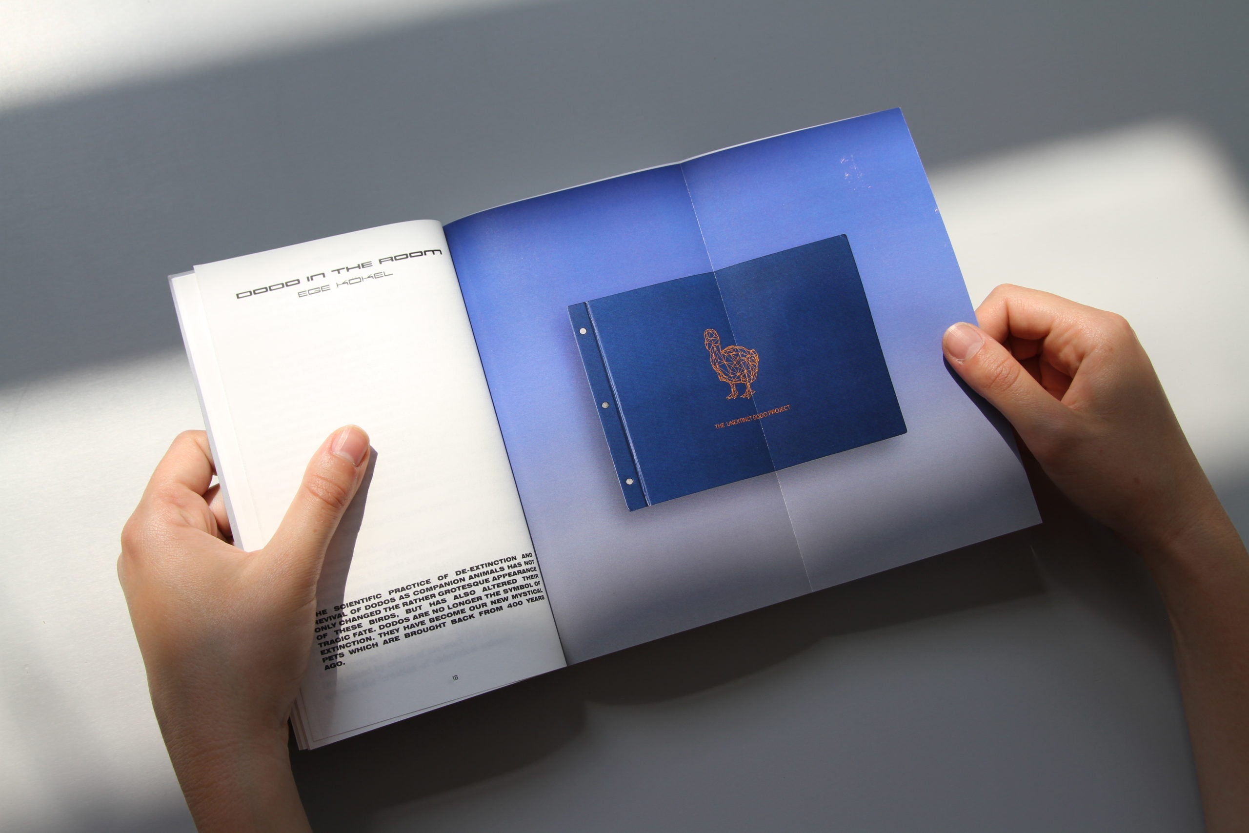 Interspecies Futures [IF] image 3