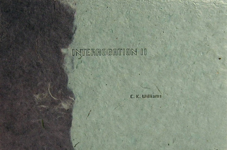 Interrogation II image 0