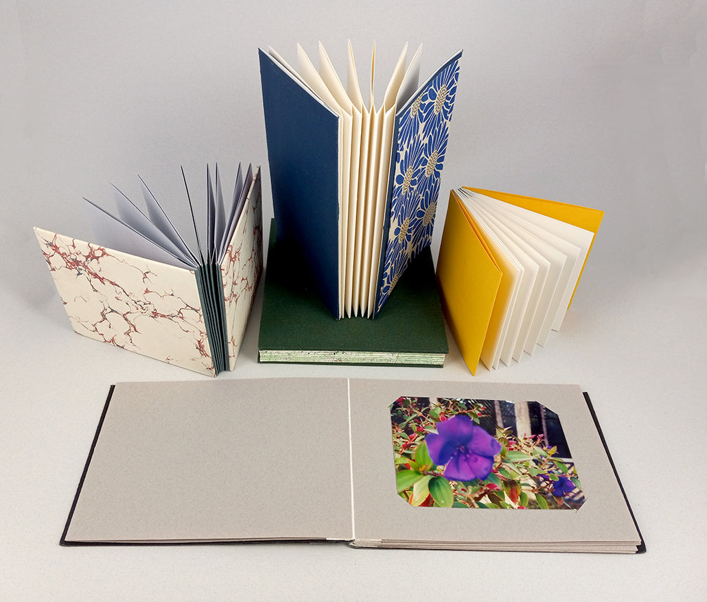 Simple Concertina Albums (Fall 2024) image 0