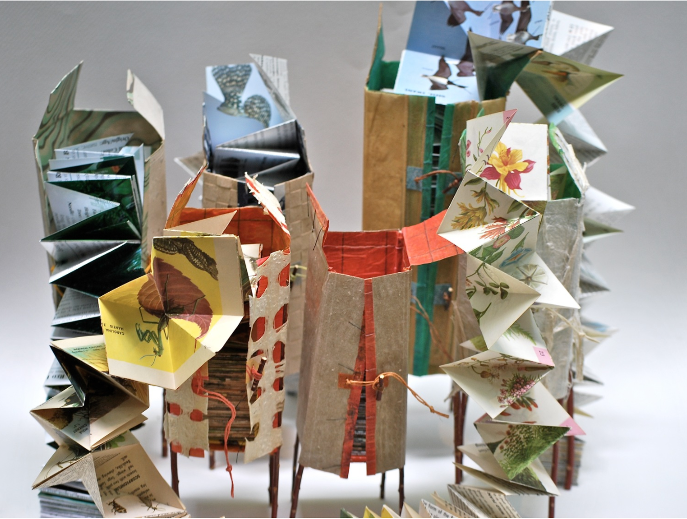 Eco-Activism and the Artists' Book (Fall 2023) image 2