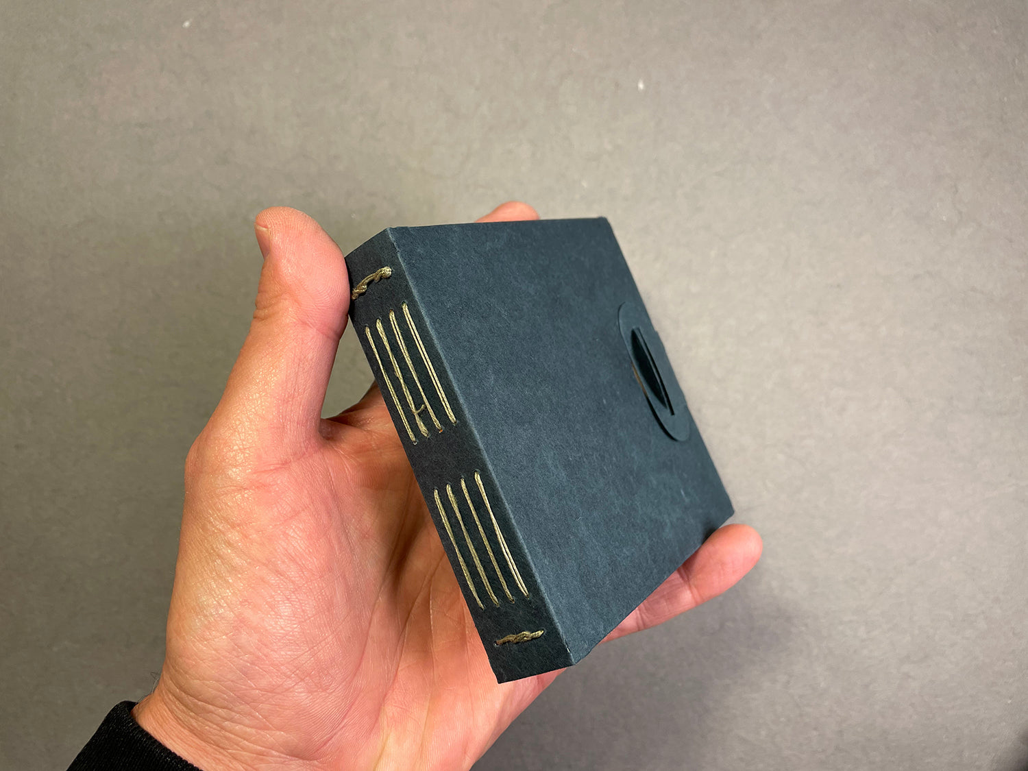 Miniature Pop-Up Wildflowers with Longstitch Binding (Summer 2024) image 1