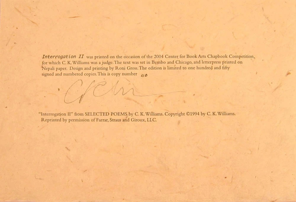 Interrogation II image 3