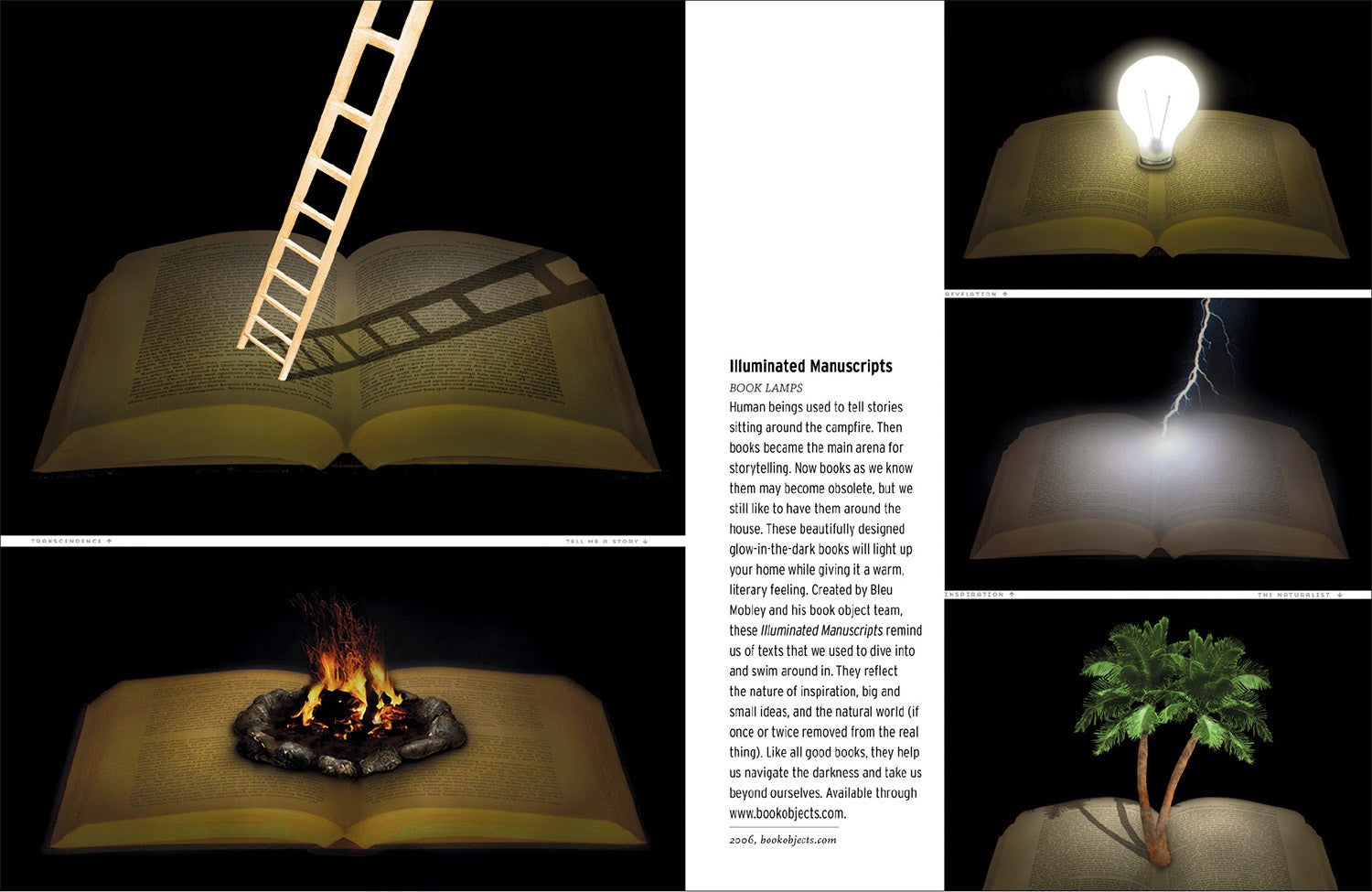 A LIFE IN BOOKS: The Rise and Fall of Bleu Mobley image 1