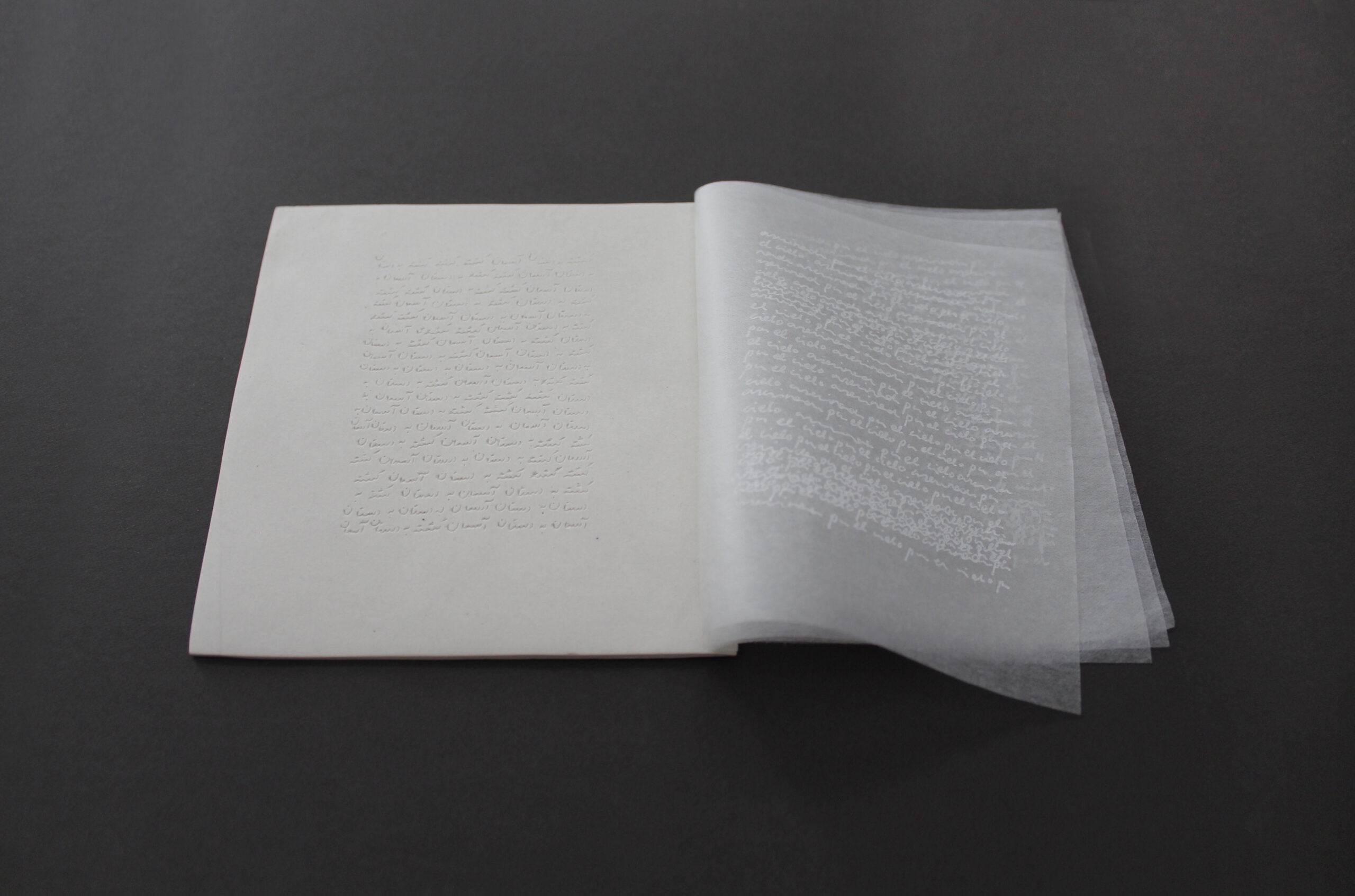 Time Does Not Pass: Artists' Book Development Workshop (Summer 2023) image 2